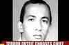 Egyptian named new al-Qaida leader: Report