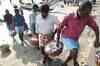 23 Indian fishermen arrested by Lankan Navy
