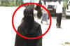 17-year-old girl raped in UP by photo studio owner