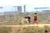 Singur land case: West Bengal govt asked to file affidavit