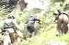 Terrorists' hideout busted in Doda