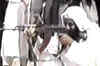Osama's death ups terror risk for Americans: US