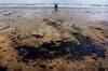 Oil spill at Juhu beach threatens marine life