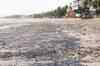 Mumbai oil spill: Operation 'Paryavaran Surakha' launched
