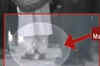 Mayawati sent empty jet to Mumbai for sandals: WikiLeaks