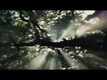 Official Trailer - Fantastic Beasts And Where To Find Them